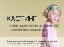 Little SuperModel of Kursk 2013